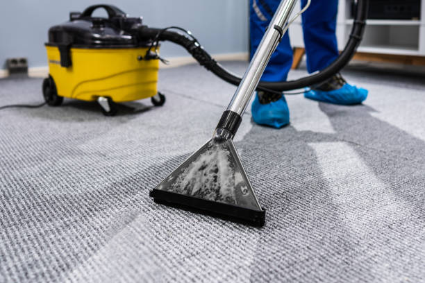 Carpet vacuuming during home cleaning